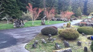 A paved driveway leading to a residential area with a mix of deciduous and coniferous trees, a small garden with rocks and shrubs, and a parked vehicle.