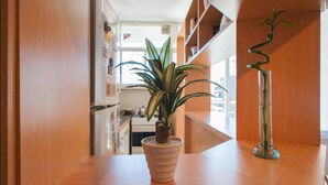 A hallway with a potted plant on a wooden counter, a clear glass vase with a bamboo plant, and a glimpse of a kitchen area in the background. - Departamento Palermo con Balcon (Buenos Aires)