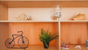 A wooden shelf with decorative items including seashells, a glass vase, a bicycle, a potted plant, and a small ship model. - Departamento Palermo con Balcon (Buenos Aires)