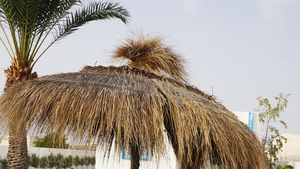Exterior - Dar Bolbol (Djerba Ajim)