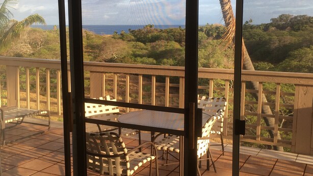 Una terraza con mesa y sillas, con vista a un paisaje tropical con árboles y el océano.