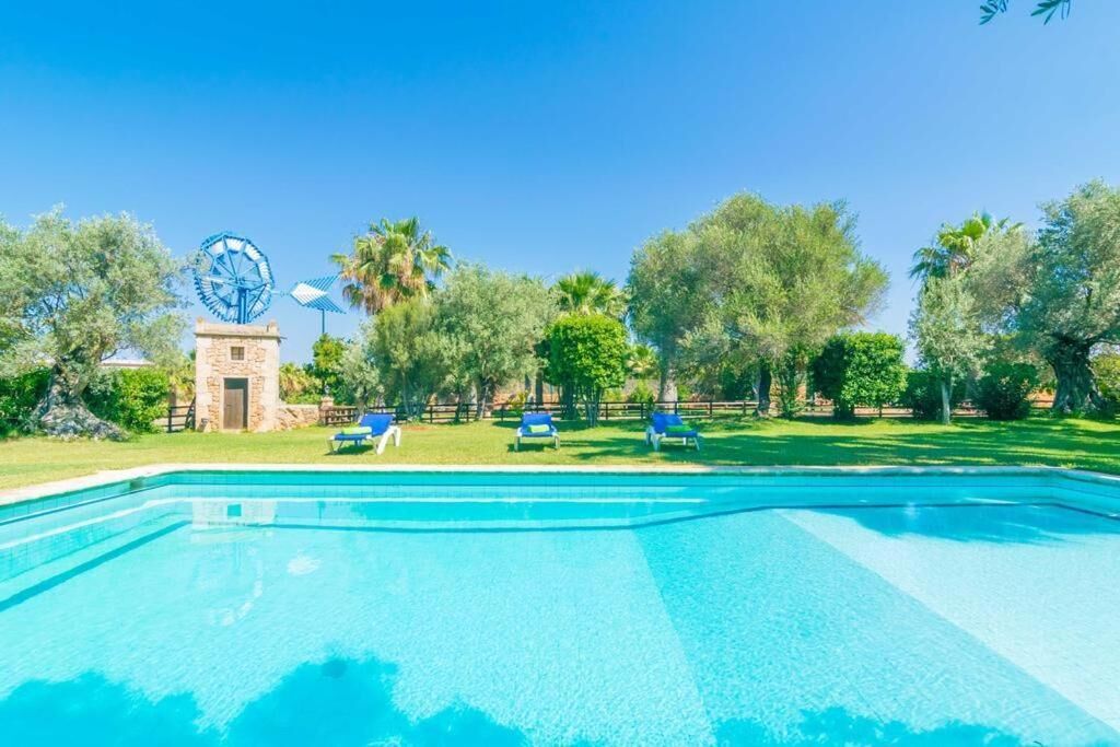 حمام سباحة