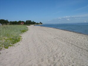 Beach nearby - Apartment Bendixen - Apartment Bendixen (Steinberg)