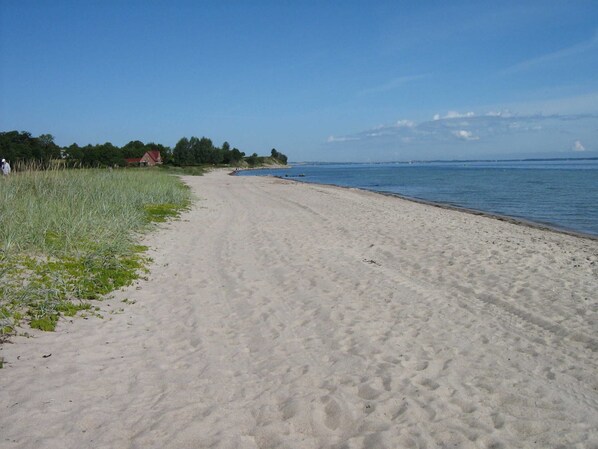 A sandy beach with a clear sky, a few houses in the background, and a calm sea.