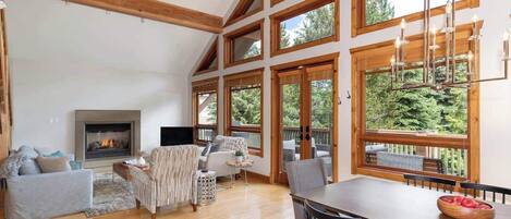 Télévision, cheminée, espaces bureaux