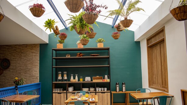 A cozy cafe with hanging planters, wooden furniture, and a teal accent wall. - El reloj casa hotel (Filandia)