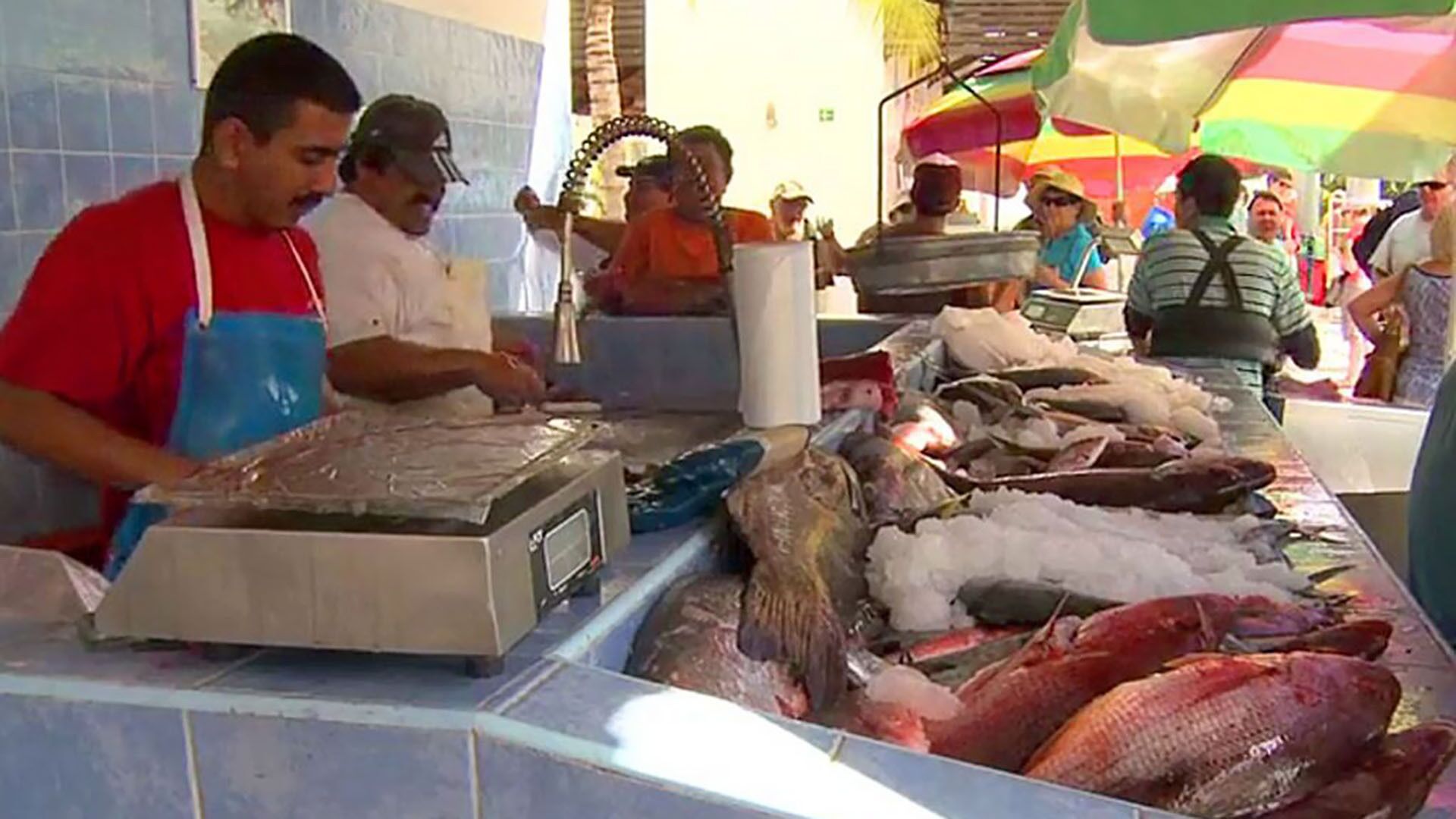 Un étal de marché proposant des fruits de mer, avec différents poissons exposés sur de la glace.