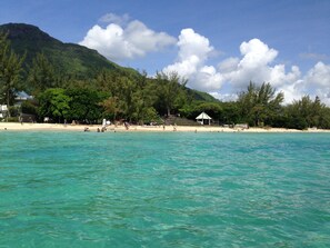 Beach nearby, white sand - Villa with Heated Pool (Black River)