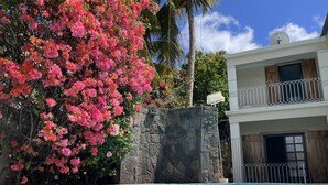 A swimming pool with clear blue water, surrounded by lush pink bougainvillea flowers and a stone wall. - Villa with Heated Pool (Black River)