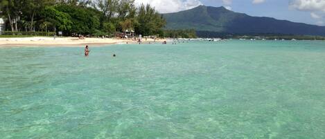 Nær stranden og hvit sand