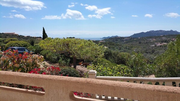 Áreas de la propiedad