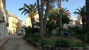 Une rue résidentielle bordée d’un chemin de gravier, de palmiers et d’un mur de pierres.