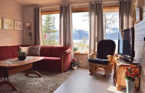 TV, fireplace, DVD player