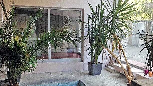 A pool area with potted plants and a glass door leading to a balcony. - In Paris, for 1 month or more! (Paris)