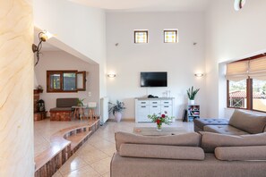 تلفزيون ذكي، مدفأة، ألعاب فيديو، مشغل دي في دي