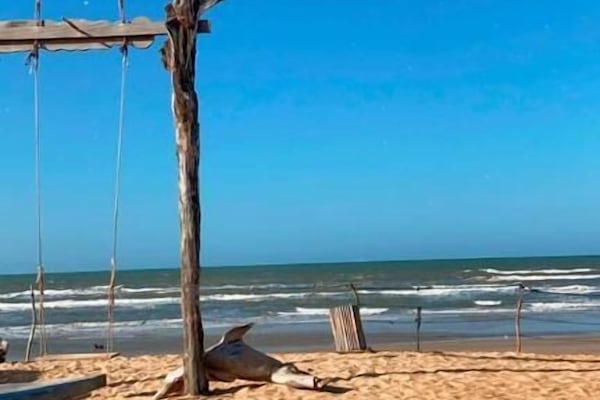 Una playa cerca, arena blanca, traslado desde/hacia la playa