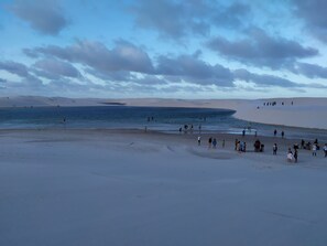Una playa con dunas de arena y un mar tranquilo.