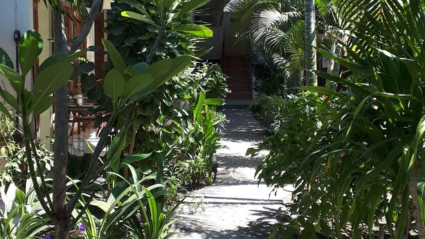 Un étroit sentier de pierre, bordé d’une végétation tropicale luxuriante, et un bâtiment traditionnel avec un toit de tuiles en arrière-plan.