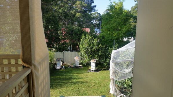 A backyard with a lawn, a white shed, and a tree. - The Sanctuary Point home (Sanctuary Point)