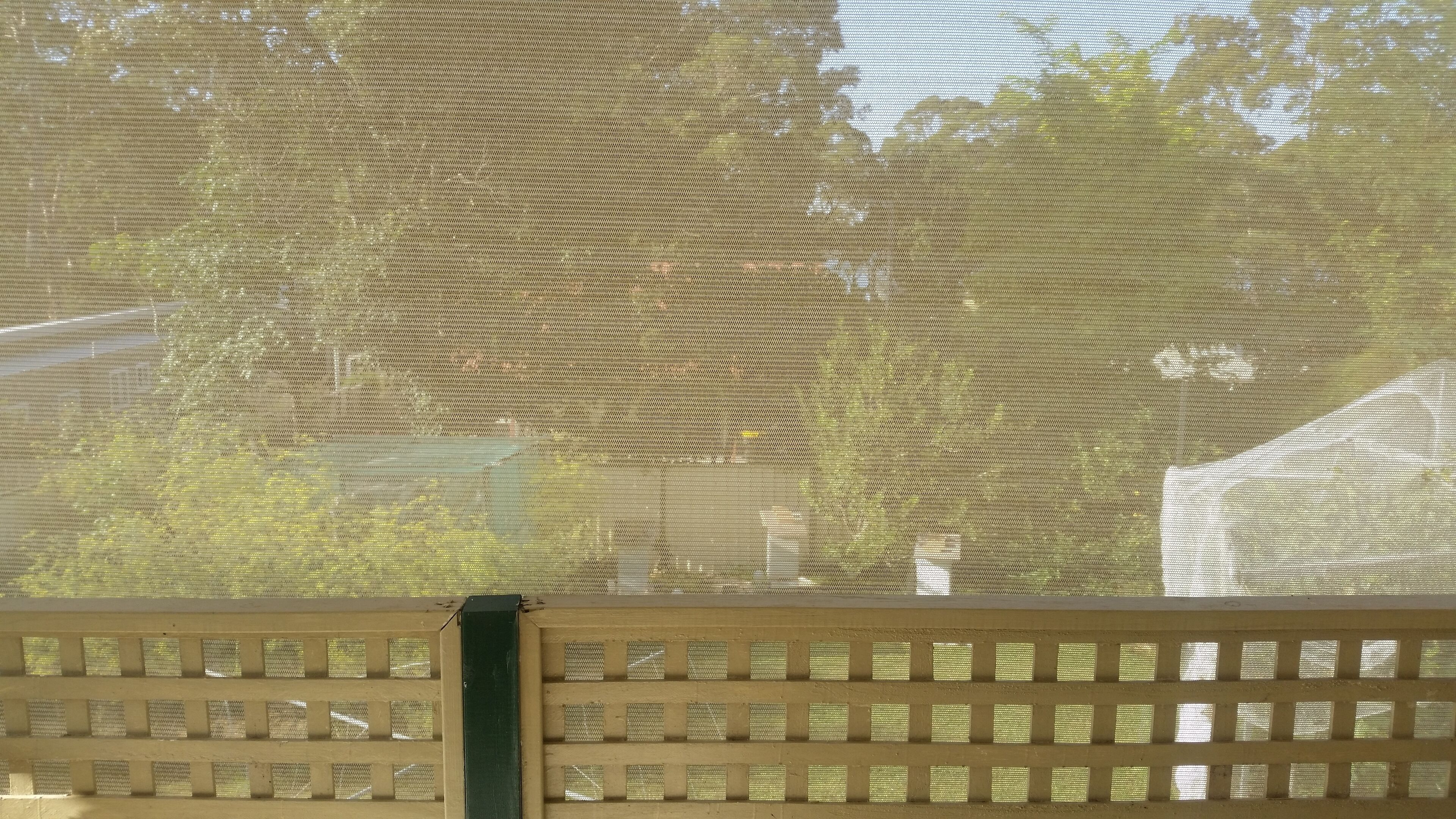 A view through a window with a mesh screen, displaying a building and trees outside.