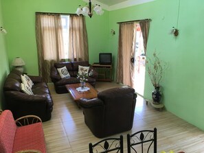 Télévision, lecteur de DVD, table de tennis de table, livres