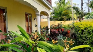 Un edifici groc amb un porxo cobert, plantes en testos i vegetació variada.