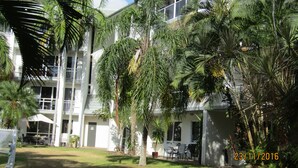 Exterior - Palm Cove Resort Apartment - Free WiFi, Pools and Gym (Palm Cove)
