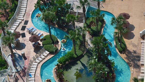 Une grande piscine sinueuse, divisée en plusieurs zones, entourée de palmiers et de chaises longues.
