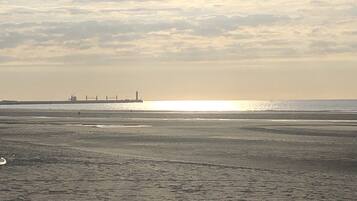 Accommodatie ligt op het strand