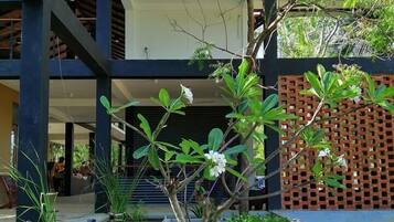 Detalle del exterior