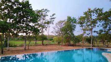 Una piscina al aire libre, sombrillas, tumbonas