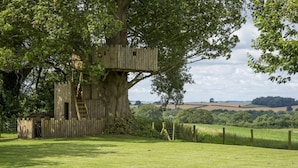 A treehouse built into a large tree, with a ladder leading up to it. - Broad  Meadows (12), Bayton , Worcestershire (Kidderminster)