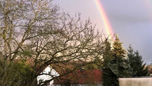 Ein Regenbogen über einem Gebäude mit kahl stehenden Bäumen und einer Backsteinmauer.