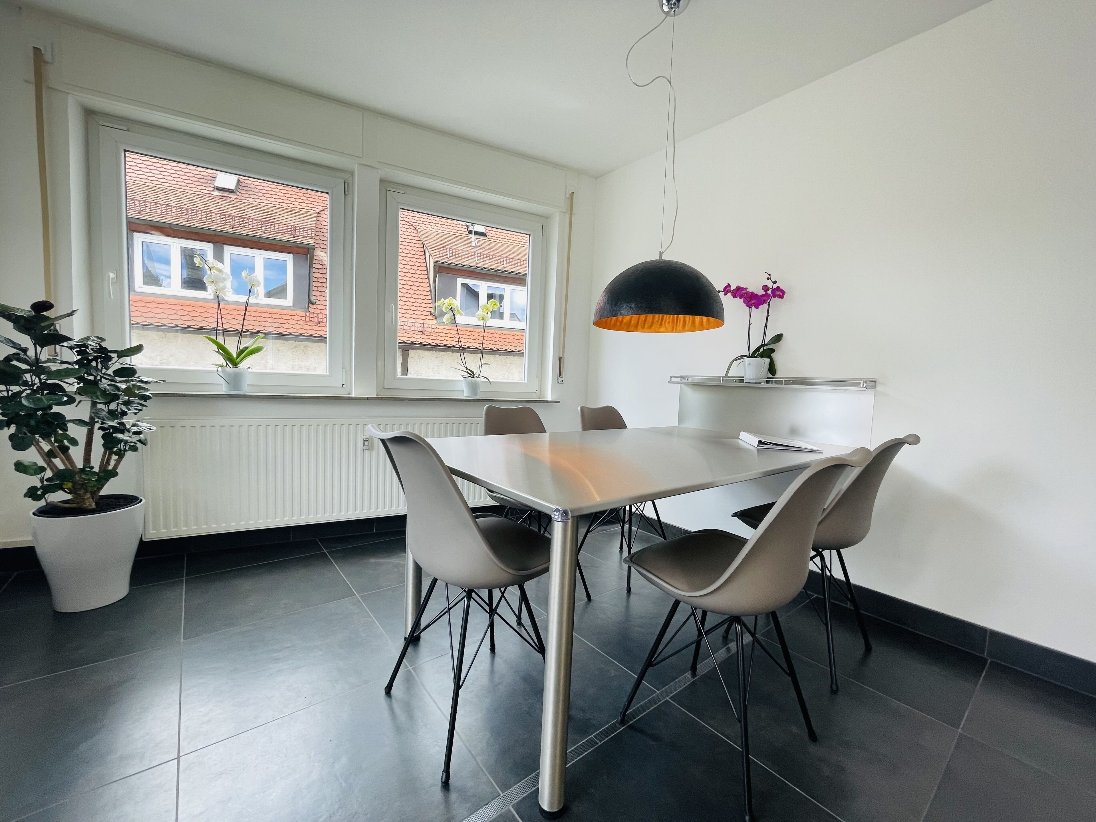 A dining area with a table and chairs, a potted plant, and a pendant light.