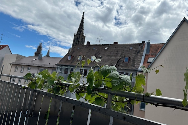 1 chambre, literie de qualité supérieure, décoration personnalisée