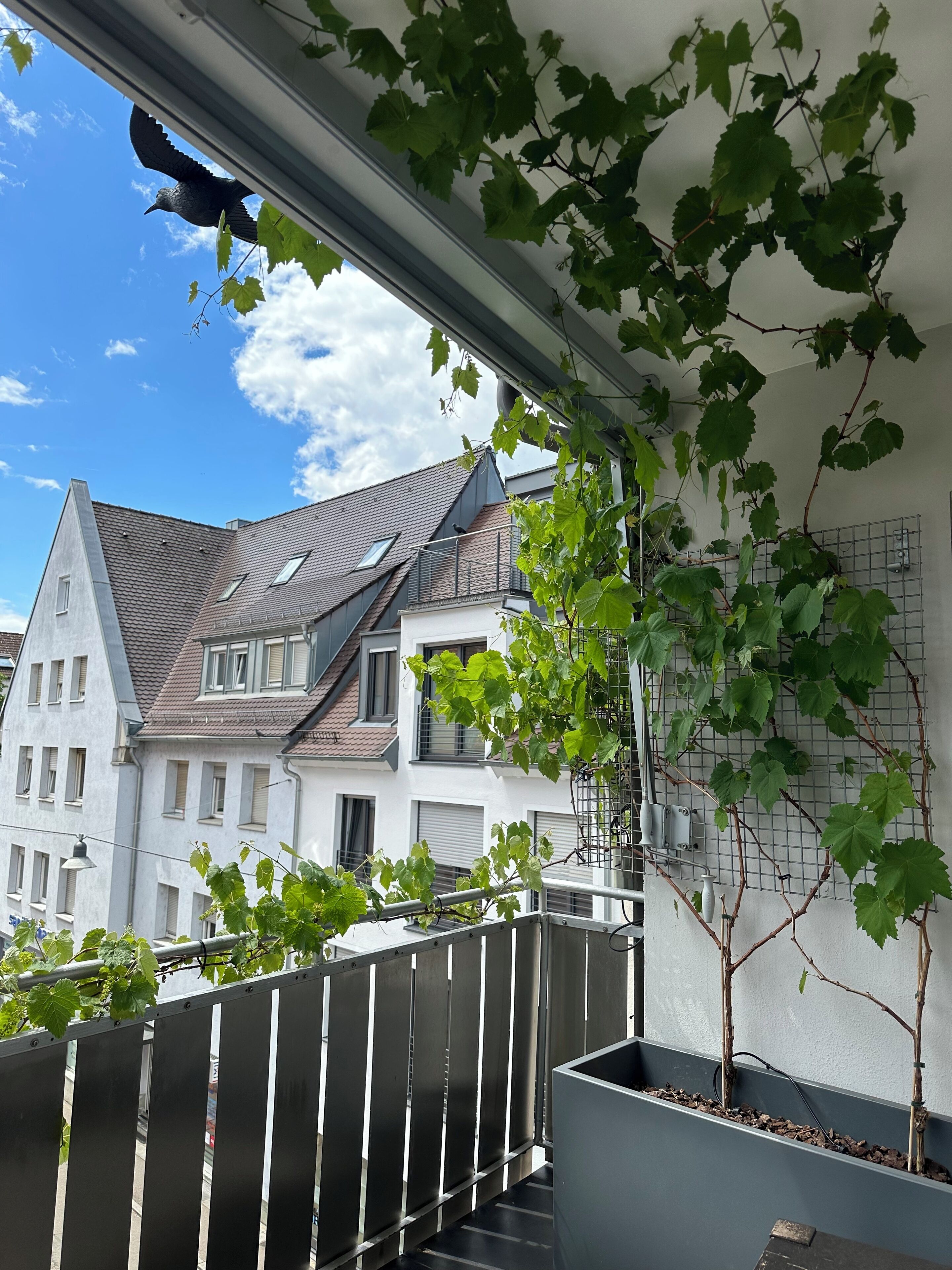 Appartement Supérieur