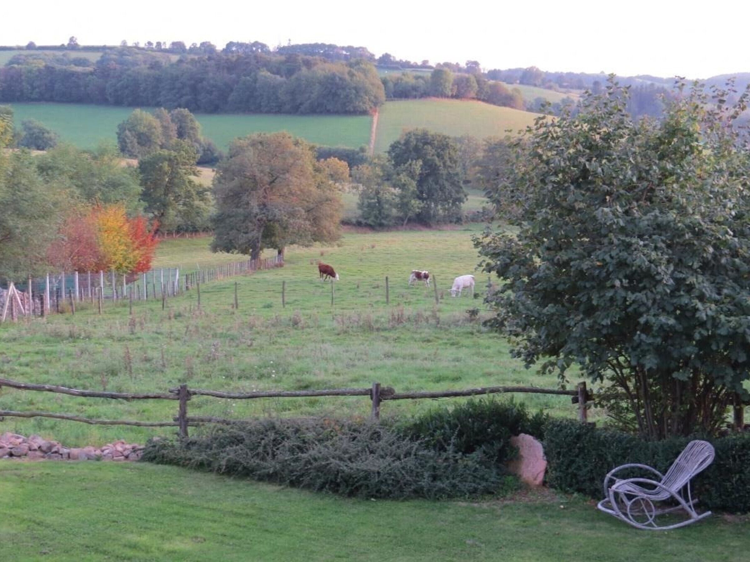 A rural landscape with a fenced pasture, a tree, and a rocking chair.