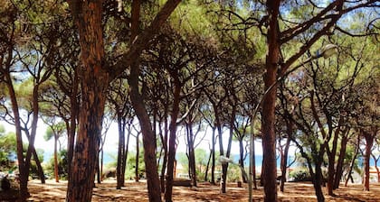 Appartement Ă 50m de la mer tous services