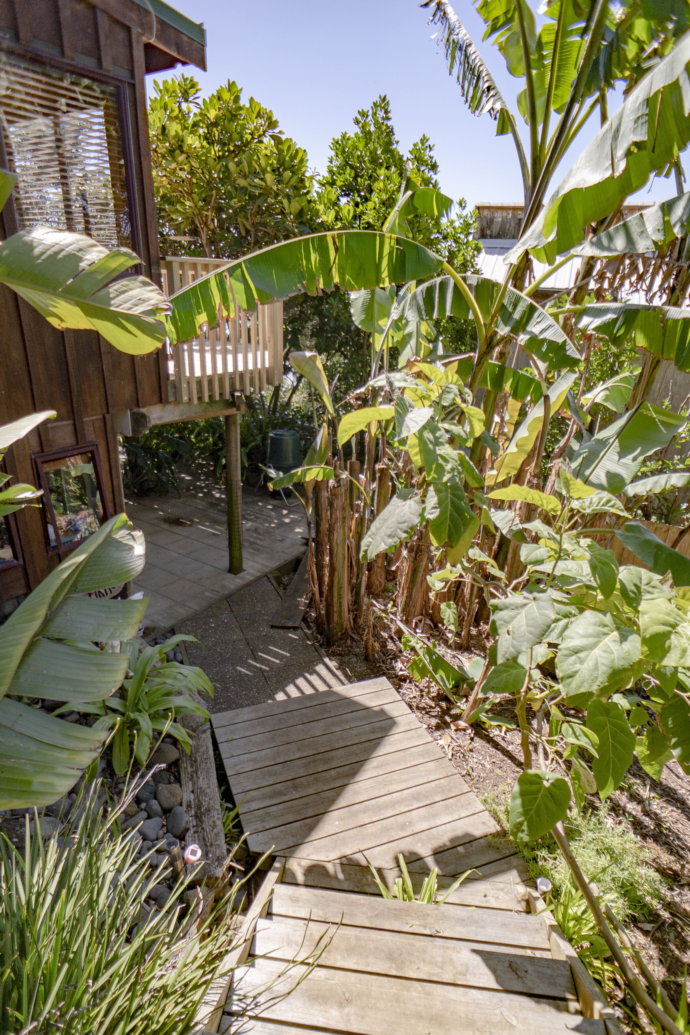 Stairs to Studio through Lush Tropical Garden.