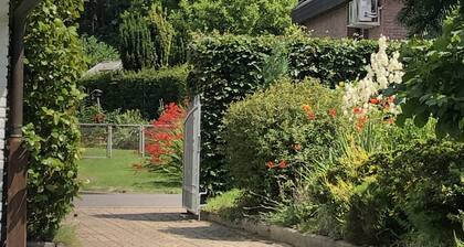 Ferienhaus Am Meinweg directly at the forest in the nature reserve