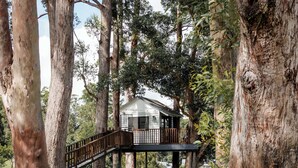Una casa en el árbol con terraza de madera y un pequeño porche, rodeada de árboles altos y hierba.
