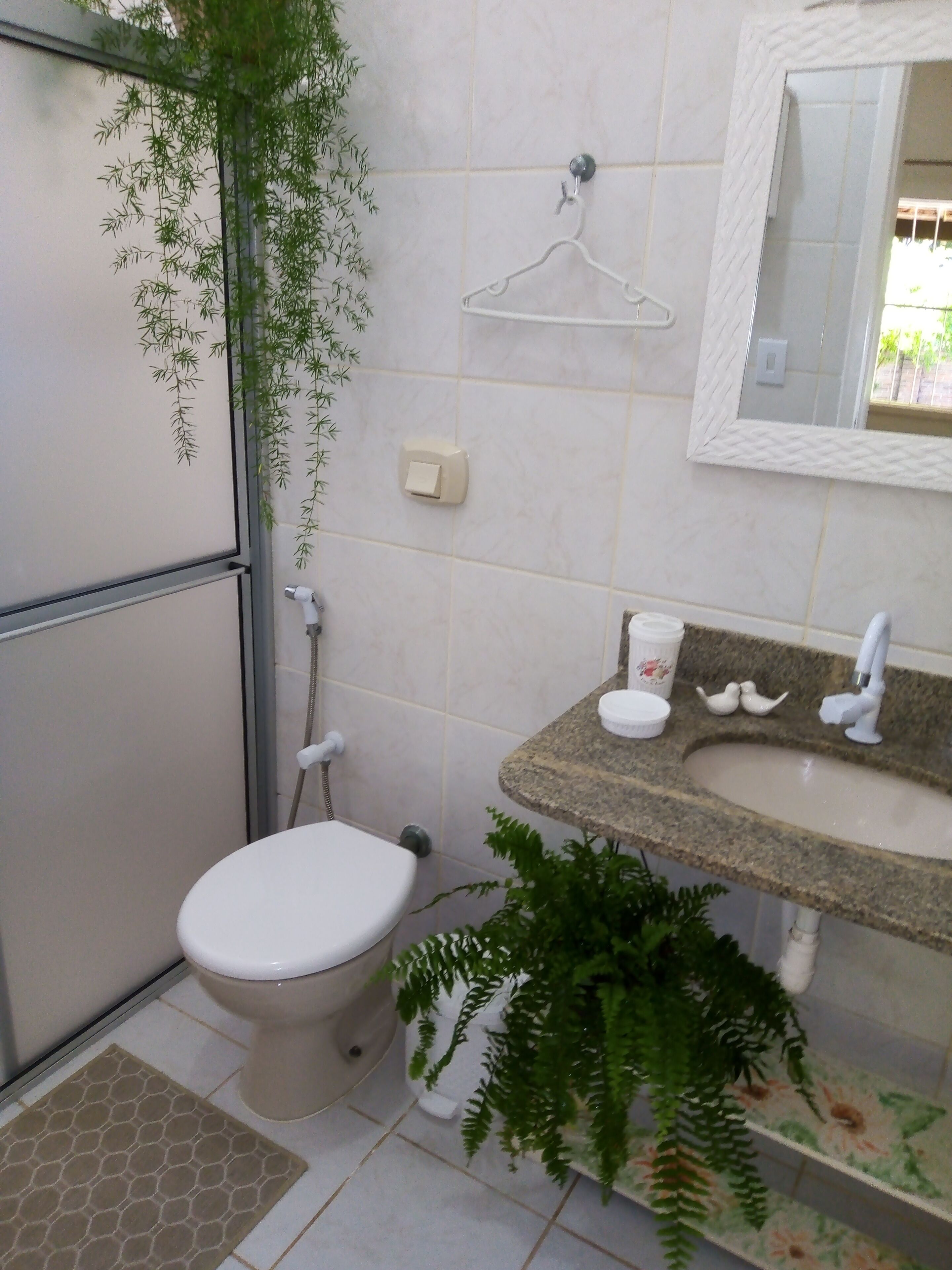 A bathroom with a toilet, a sink, a mirror, and a hanging plant.