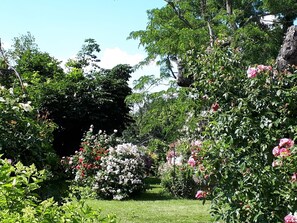 Property grounds - ideal for trips to Altenburger Land, to Leipzig and Gera (Starkenberg)