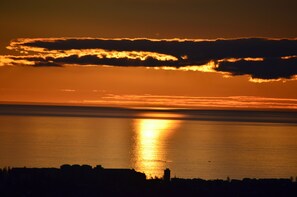 Lettini da mare