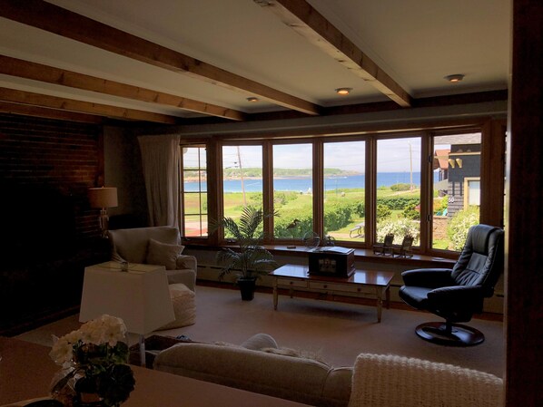 TV, DVD player, video library, stereo