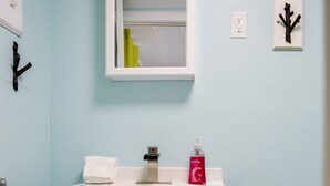 A bathroom with a white vanity, a mirror, a toilet, and a small trash bin. - Whitehall Cottages Boutique Motel - Full Beds (Whitehall)