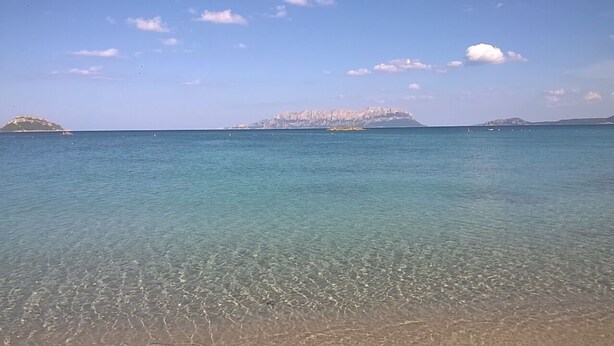 A clear view of a beach with calm waters and distant islands. - THREE-ROOM APARTMENT WITH SOLARIUM AND POOL (Viddalba)