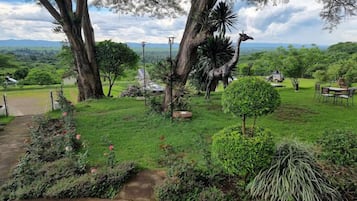 Jardim