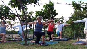 Un grupo de personas practicando yoga al aire libre sobre esterillas.