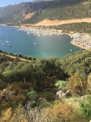 Punt d'interès